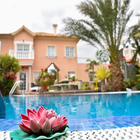 Luxury With Garden Views Apartment *